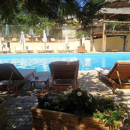 Orhideja Vrnjačka Banja